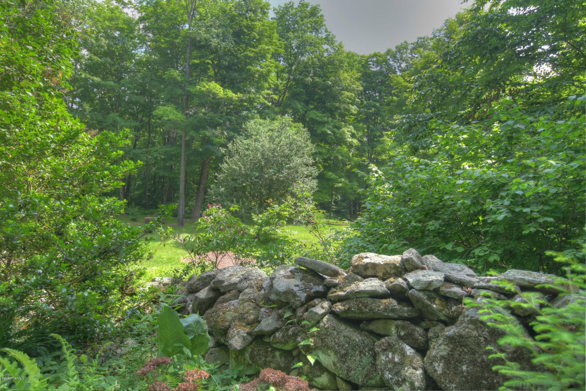 58 Mt Hunger Road Monterey, MA 01245 - Photo 26 of 32 a view of a lush green forest