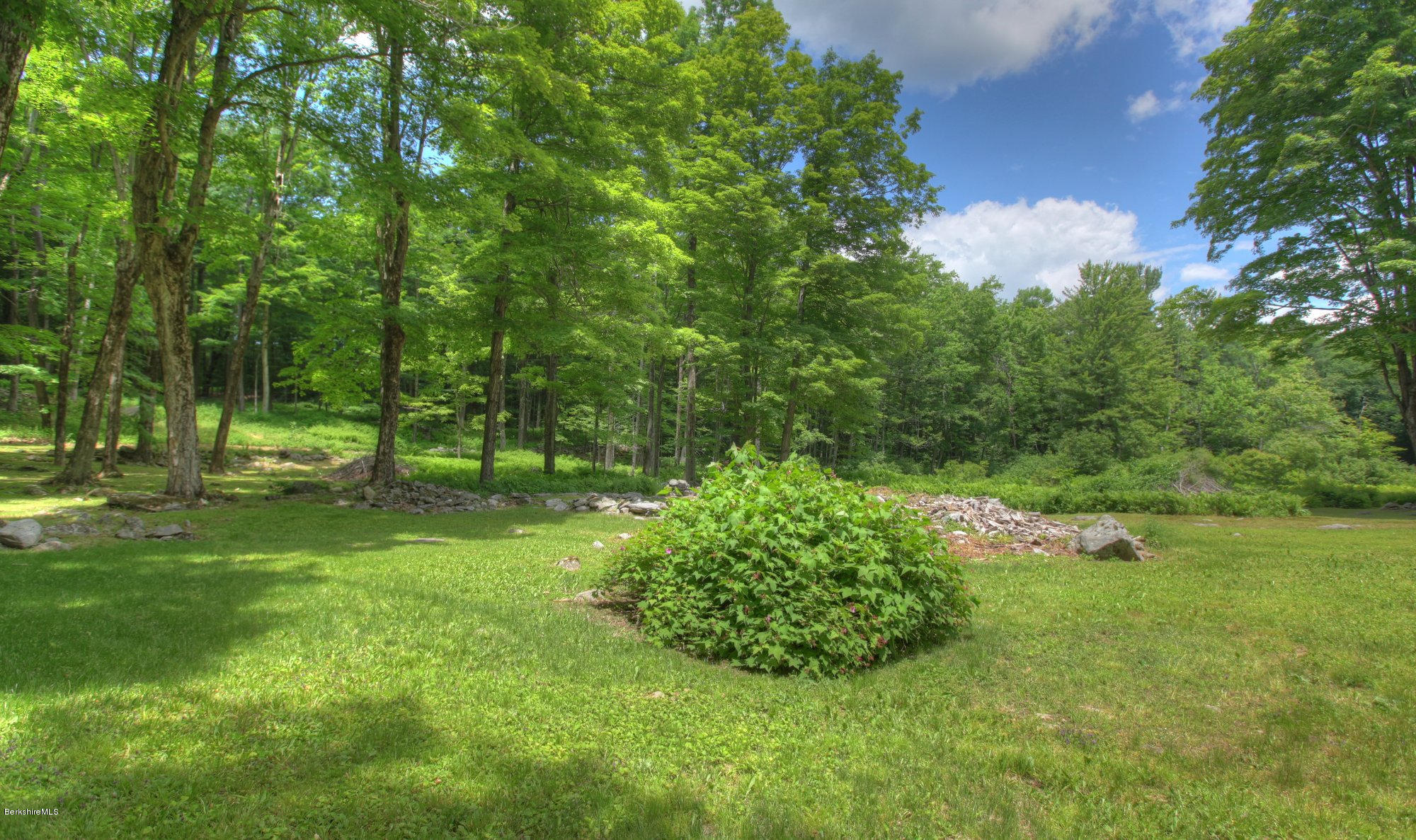 58 Mt Hunger Road Monterey, MA 01245 - Photo 30 of 32 a view of a garden with a tree