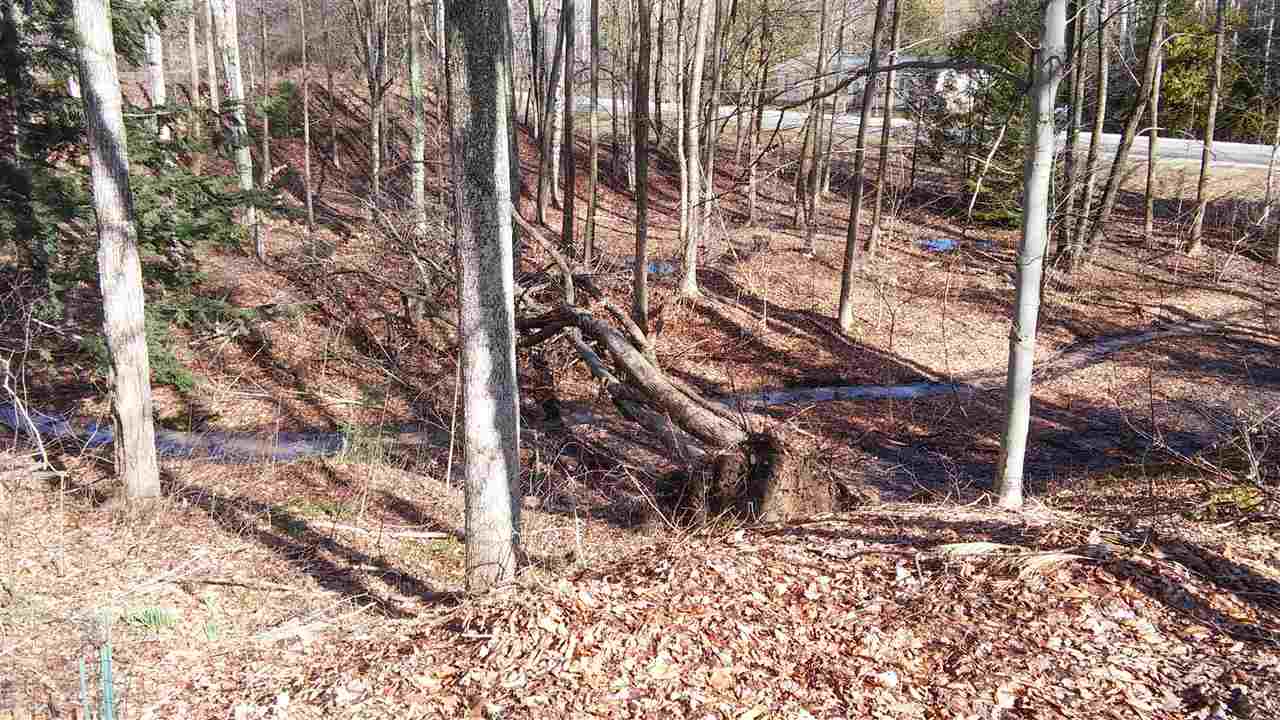 910 Nugent Road Frankfort, MI 49635 - Photo 35 of 38 1813742-35.JPG