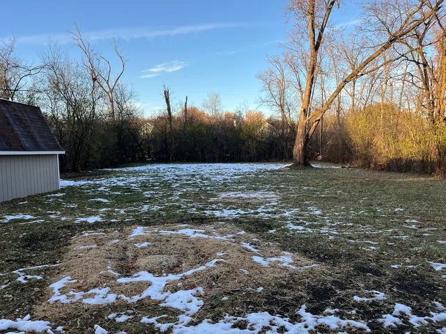 a view of a tree with a yard