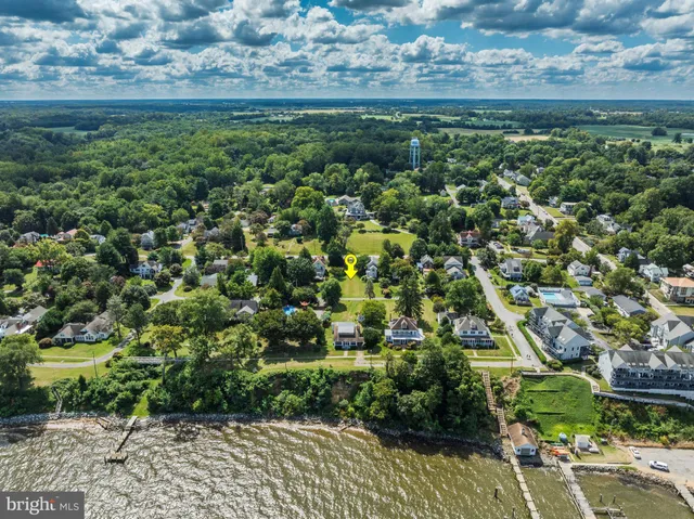 a close up of a flower in a garden