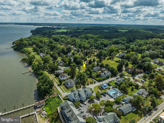 a view of a garden with a flower