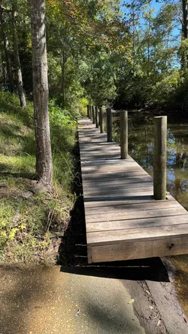 a view of backyard with wooden fence and trees