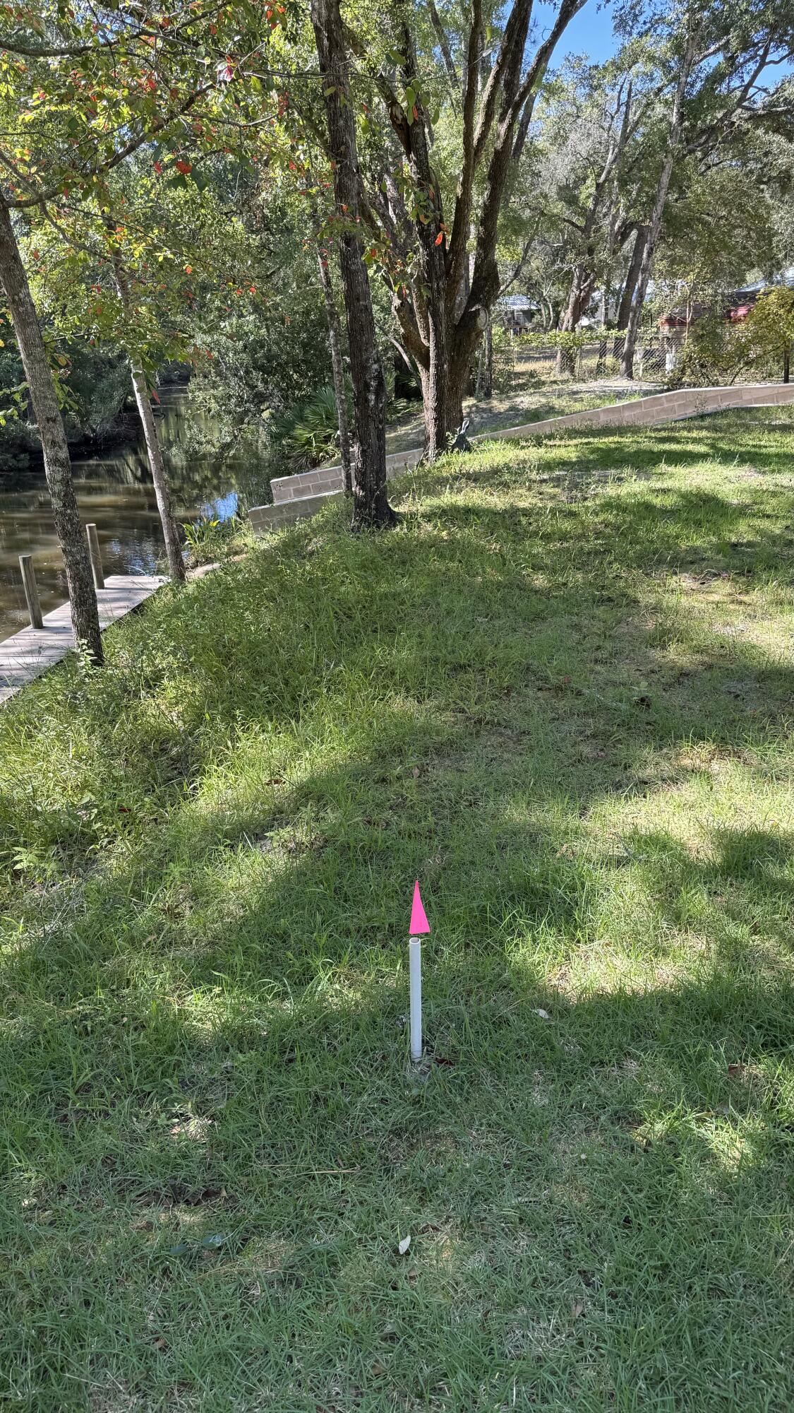 Lot 3 Rodney Drive Freeport, FL 32439 - Photo 14 of 16 a view of a garden with a tree