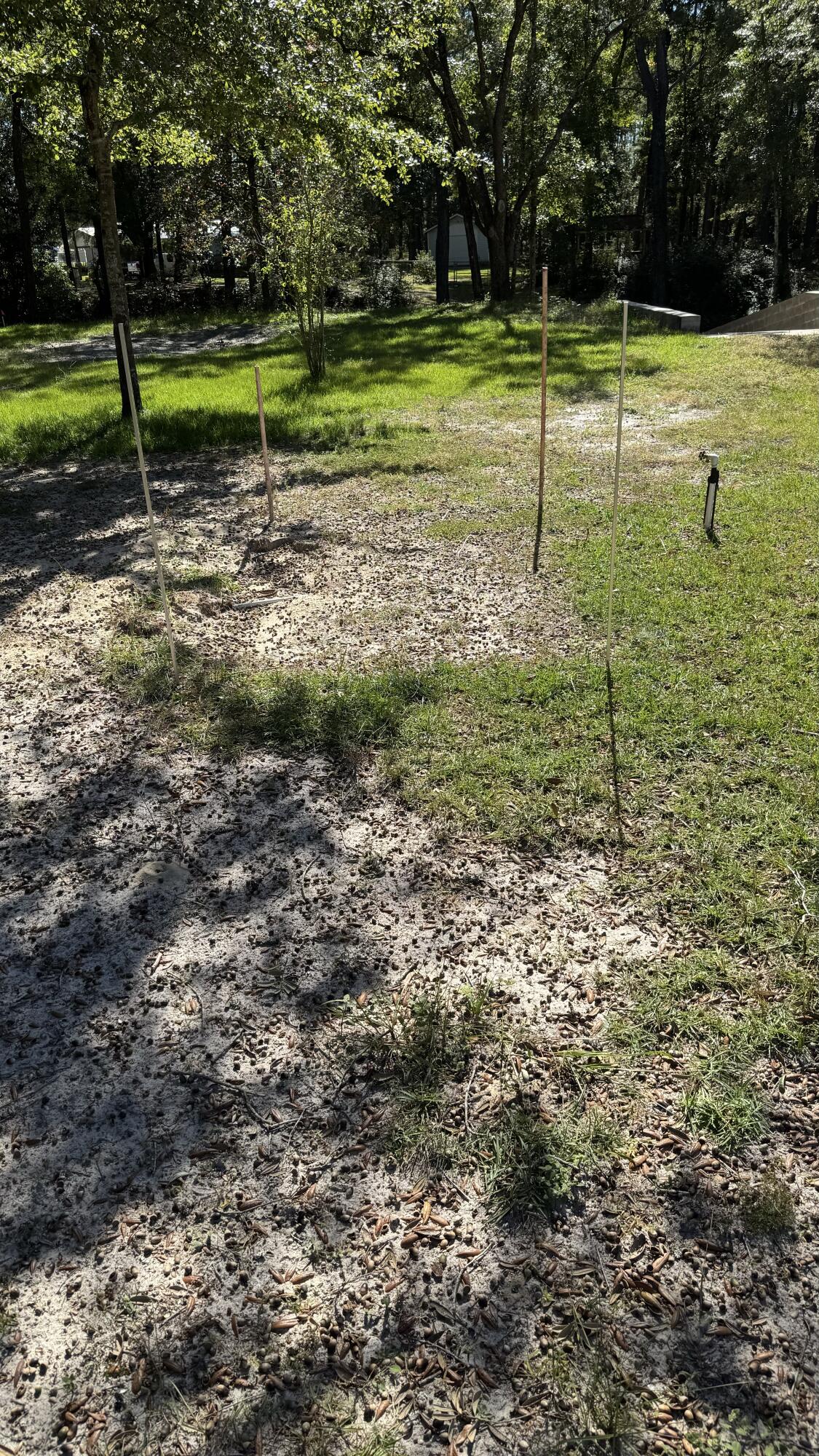 Lot 3 Rodney Drive Freeport, FL 32439 - Photo 15 of 16 a view of a park