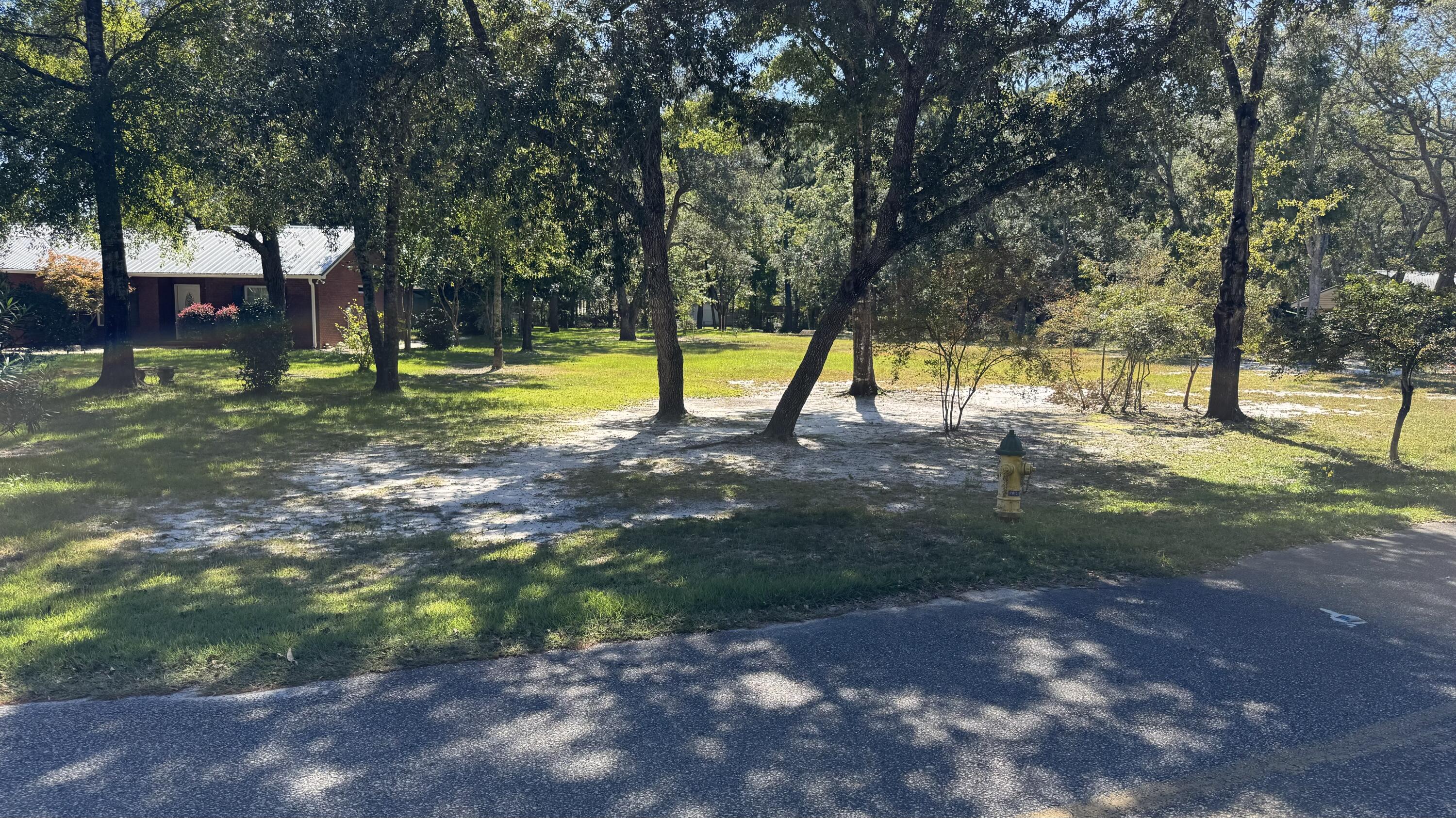 Lot 3 Rodney Drive Freeport, FL 32439 - Photo 16 of 16 a view of swimming pool with a trees