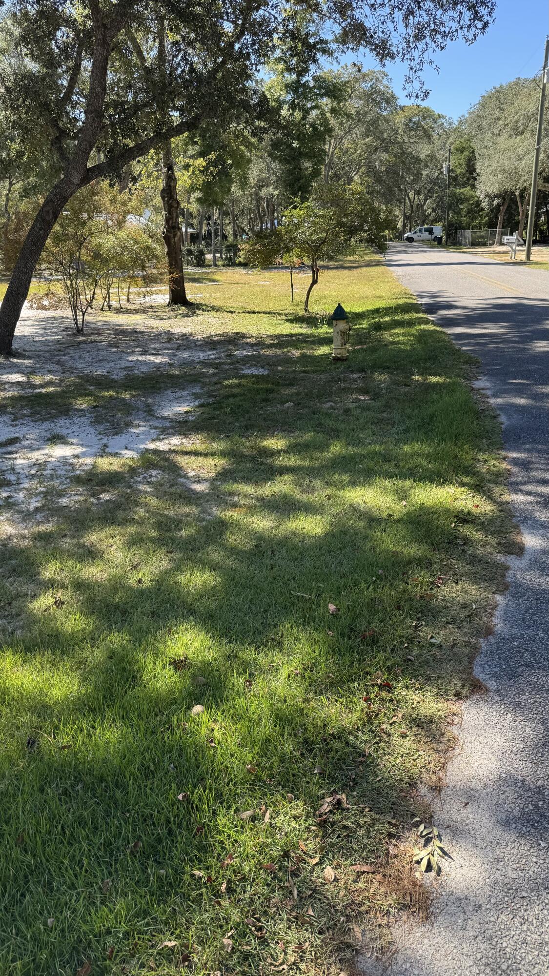 Lot 3 Rodney Drive Freeport, FL 32439 - Photo 2 of 16 a view of yard with trees