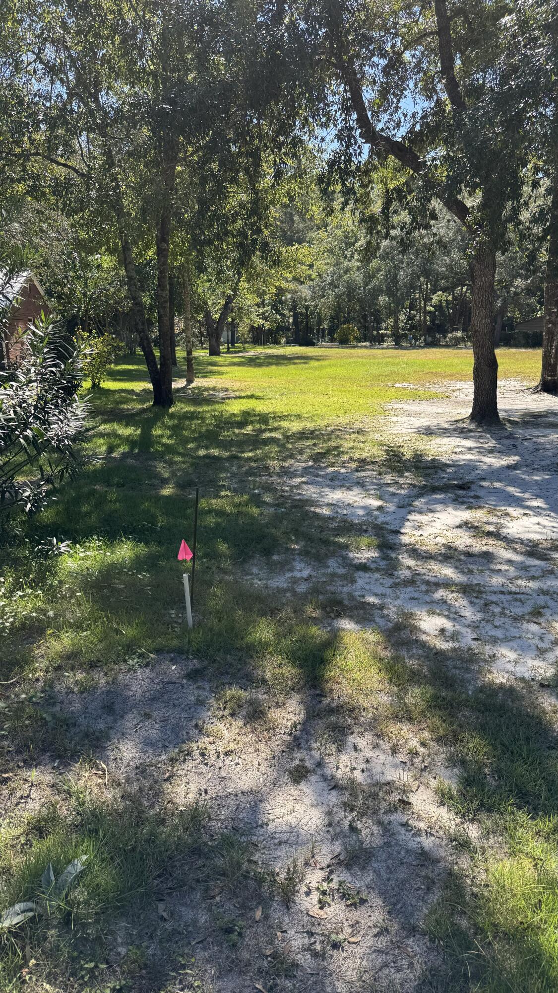 Lot 3 Rodney Drive Freeport, FL 32439 - Photo 3 of 16 a view of a trees in a yard