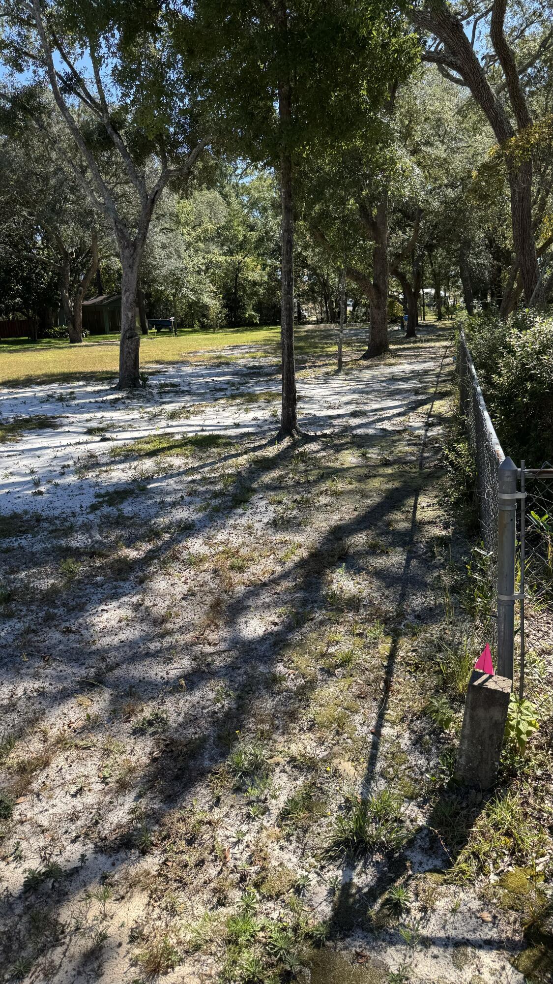Lot 3 Rodney Drive Freeport, FL 32439 - Photo 4 of 16 a view of a yard with swimming pool