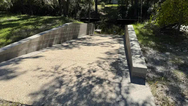 a view of a yard with plants and trees