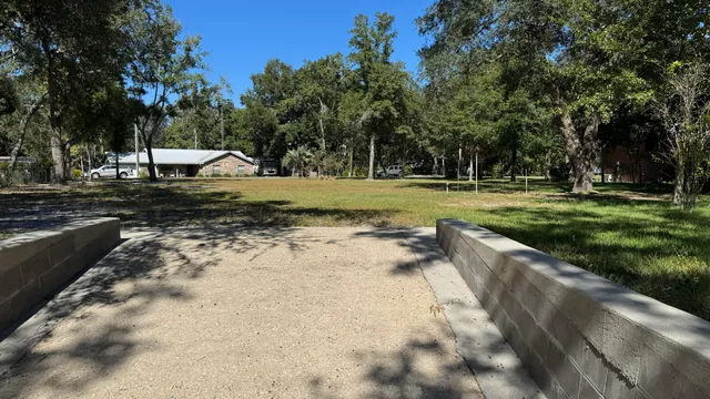 a view of a backyard with large trees