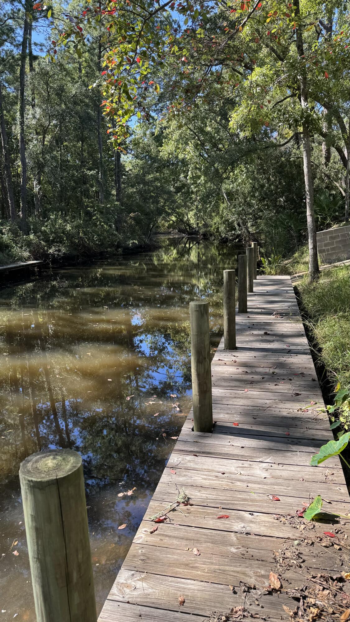 Lot 3 Rodney Drive Freeport, FL 32439 - Photo 8 of 16 a view of a lake with large trees
