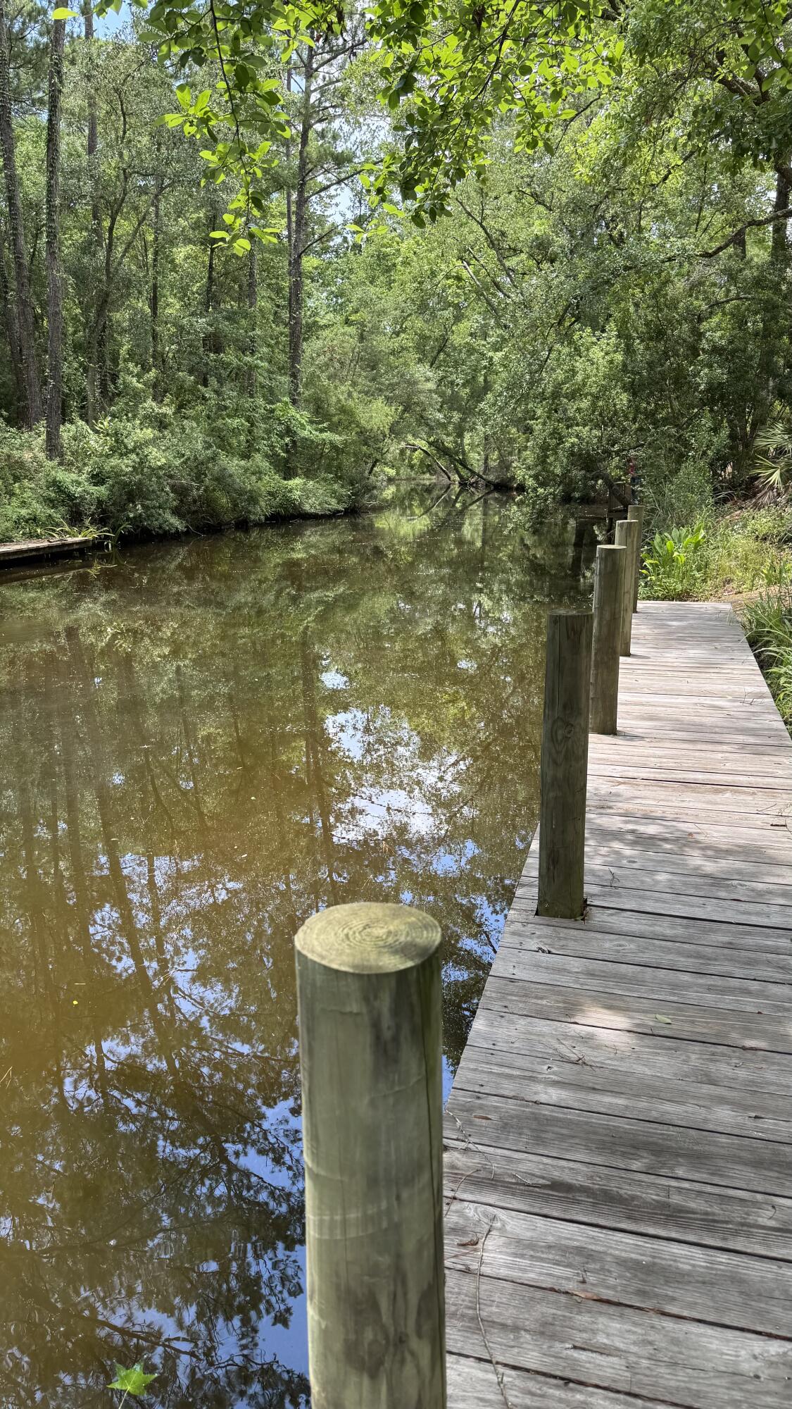 Lot 3 Rodney Drive Freeport, FL 32439 - Photo 9 of 16 a view of a pathway both side of building