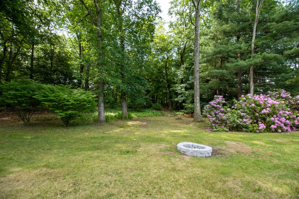 139 Fox Hill Road Springfield, MA 01118 - Photo 34 of 36 a view of a garden with plants and large trees