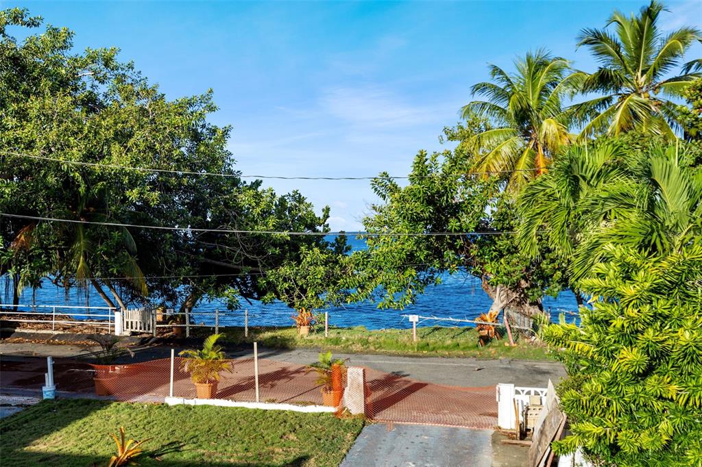 10 Calle Rincon, PR 00677 - Photo 48 of 61 Gallery Image 48