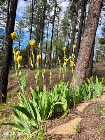 $698,000 | 292 South Morris Meadows, Payson, AZ 85541