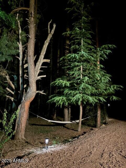 292 South Morris Meadows Payson, AZ 85541 - Photo 66 of 72 Front Yard