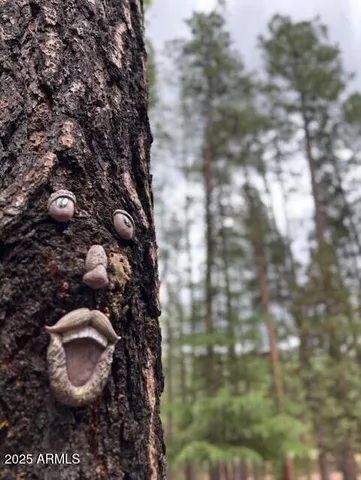 $698,000 | 292 South Morris Meadows, Payson, AZ 85541