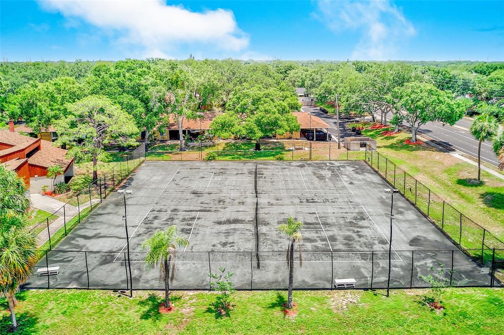 2064 Sunset Point Road, Unit 73 Clearwater, FL 33765 - Photo 46 of 58