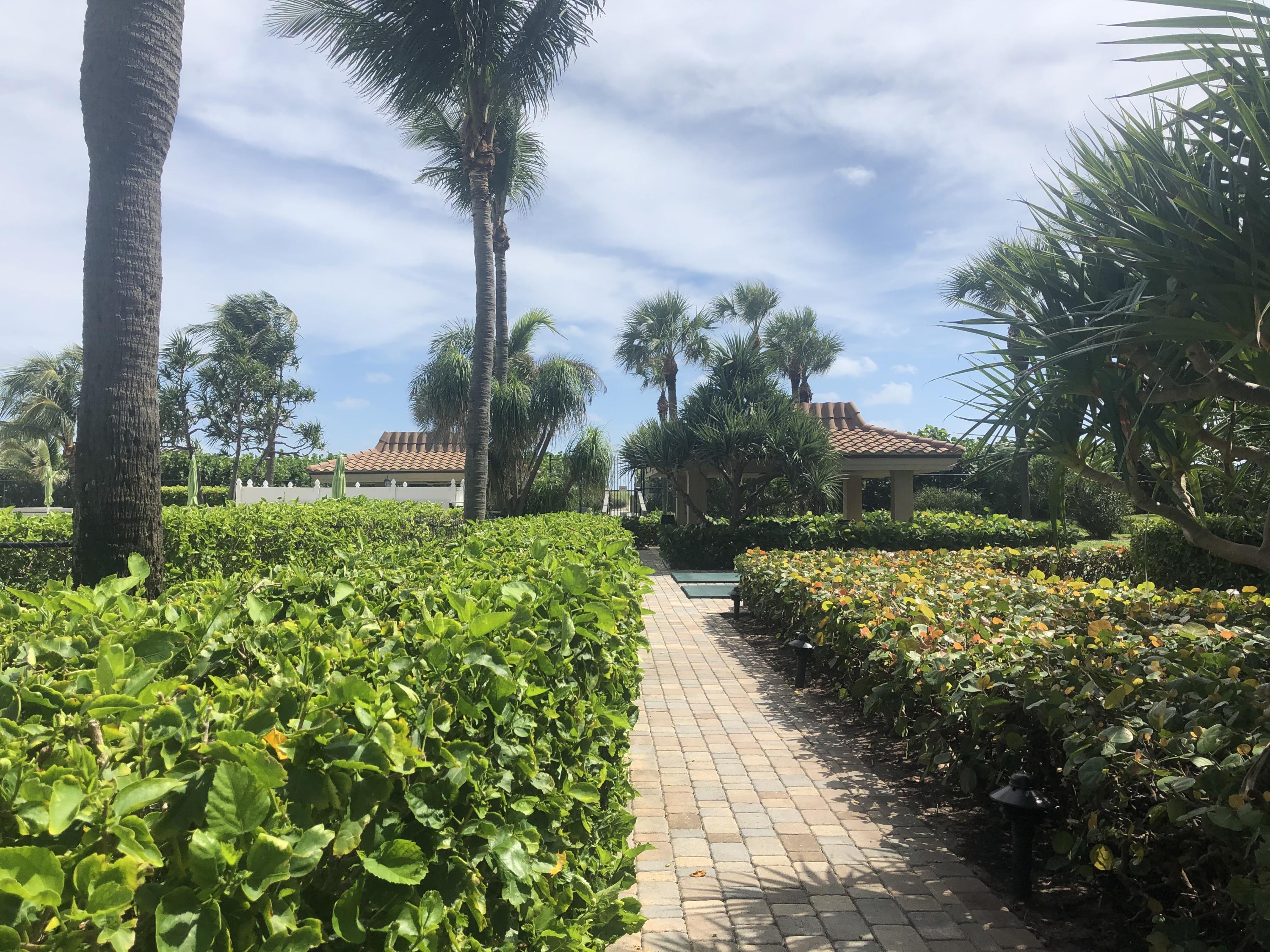 3400 North Ocean Drive, Unit 306 Riviera Beach, FL 33404 - Photo 35 of 52 a view of a garden with a tree in a yard