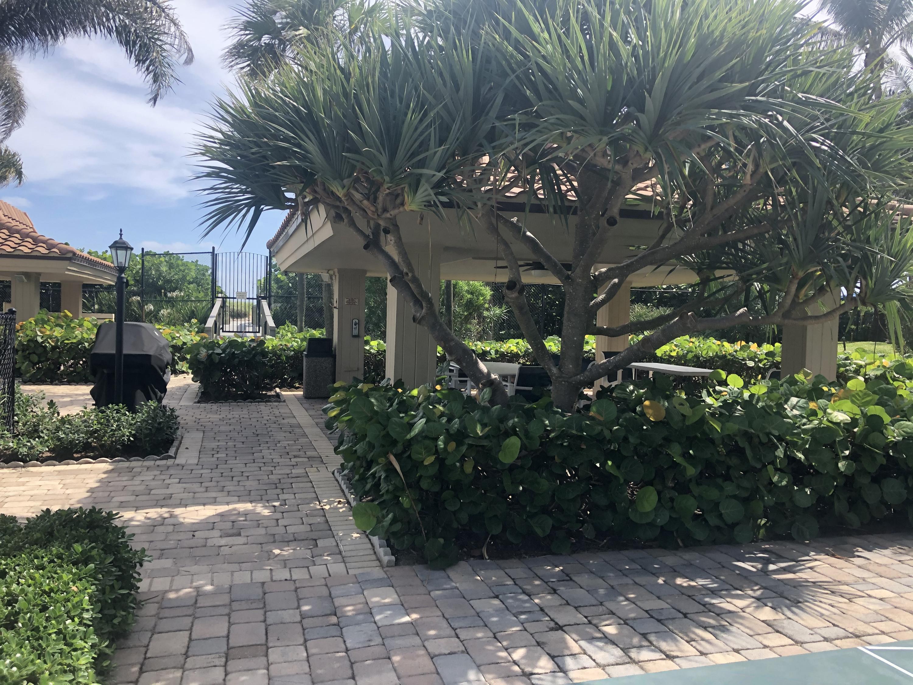 3400 North Ocean Drive, Unit 306 Riviera Beach, FL 33404 - Photo 36 of 52 a view of a pathway with plants