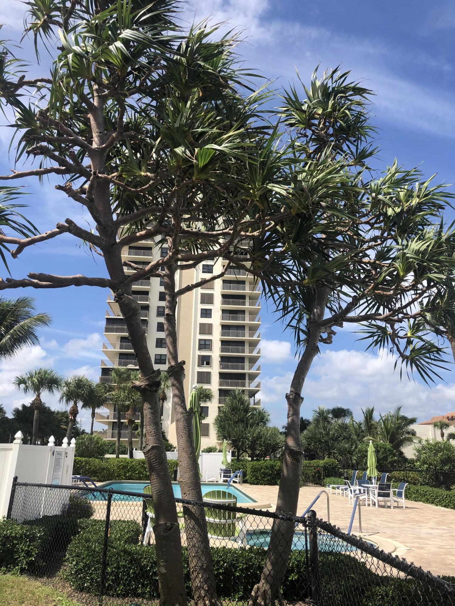 3400 North Ocean Drive, Unit 306 Riviera Beach, FL 33404 - Photo 41 of 52 a front view of a house with a tree