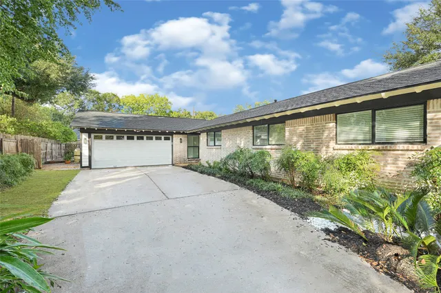 a view of a yard with plants and large trees
