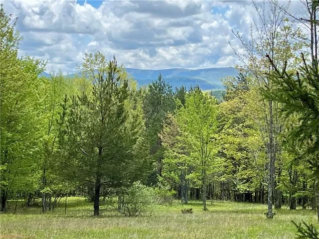 $139,000 | Crescent Hill Road, Andes, NY 13731