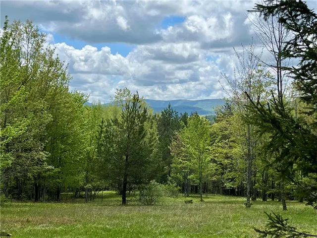 $139,000 | Crescent Hill Road, Andes, NY 13731