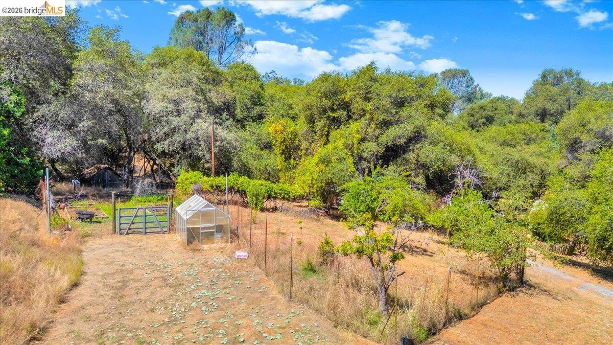 8733 Fraguero Road Sonora, CA 95370 - Photo 69 of 73 Expansive outdoor space featuring a greenhouse, gated entry to a fenced area, and mature trees providing natural shading