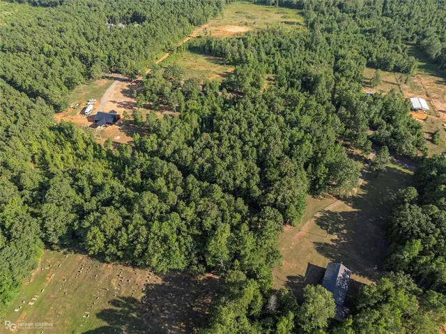 $34,900 | 1 Martin Road, Plain Dealing, LA 71064