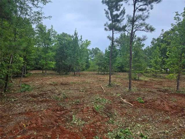 $34,900 | 1 Martin Road, Plain Dealing, LA 71064