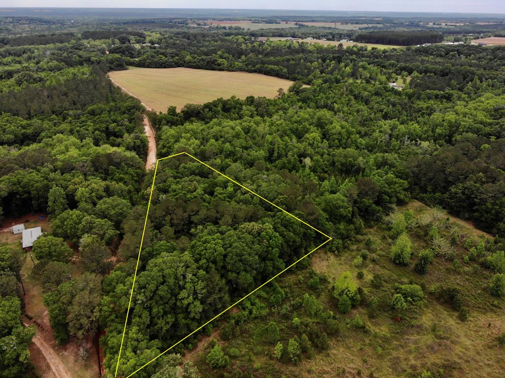2-ac Corbin Road Newton, AL 36352 - Photo 8 of 15