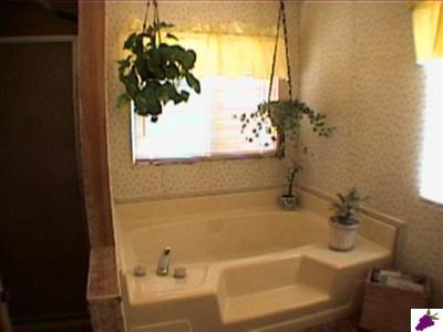 37667 Ruth Hill Road Squaw Valley, CA 93675 - Photo 6 of 10 Gallery Image 6