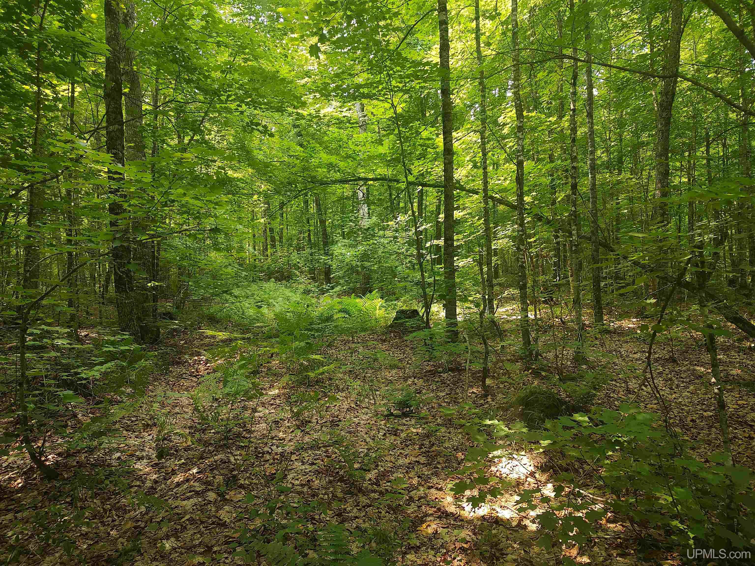 60-acres Sleepy Hollow Road Ishpeming, MI 49849 - Photo 22 of 29