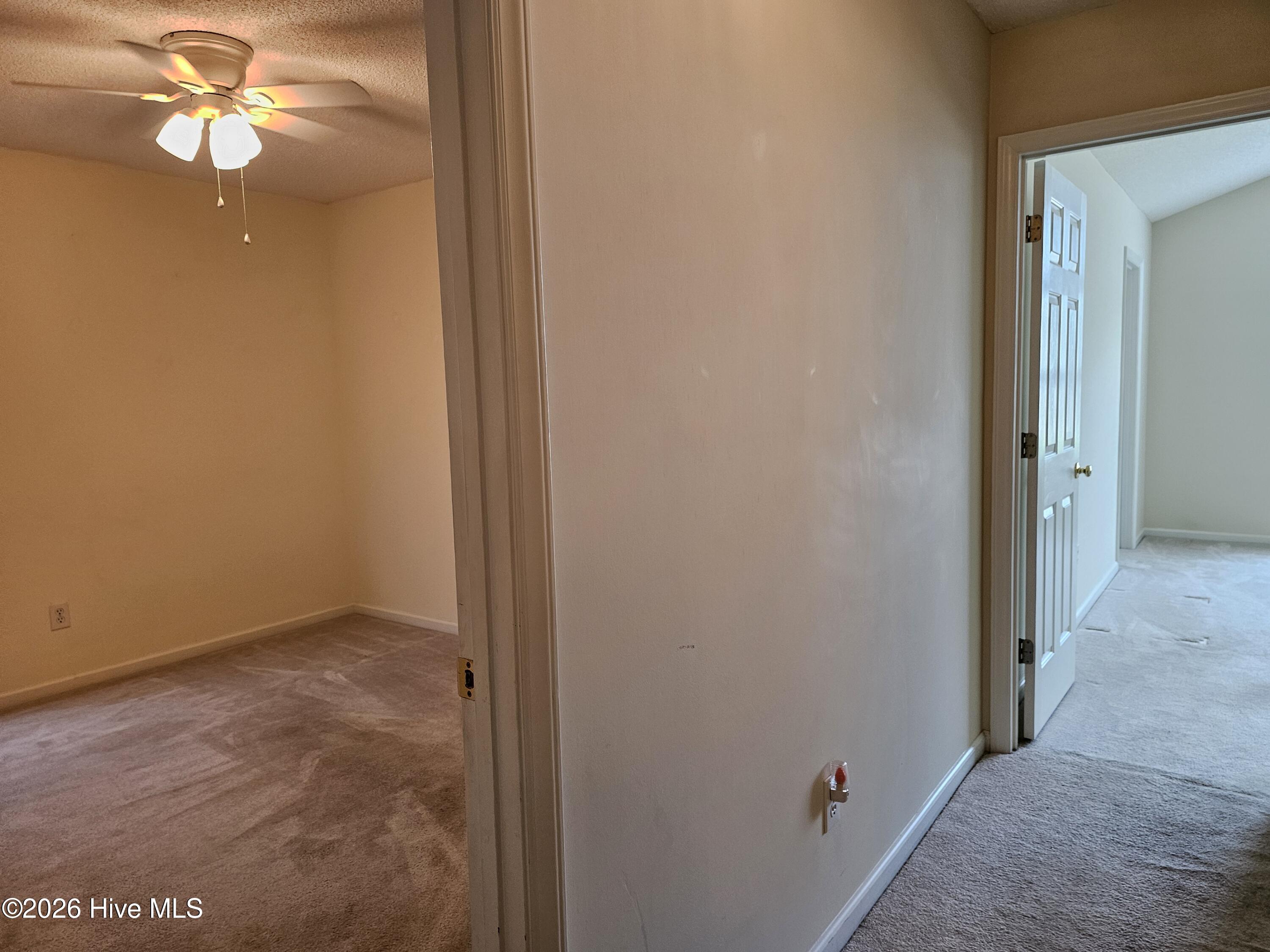 7316 Rabbit Hollow Drive Wilmington, NC 28411 - Photo 20 of 27 018