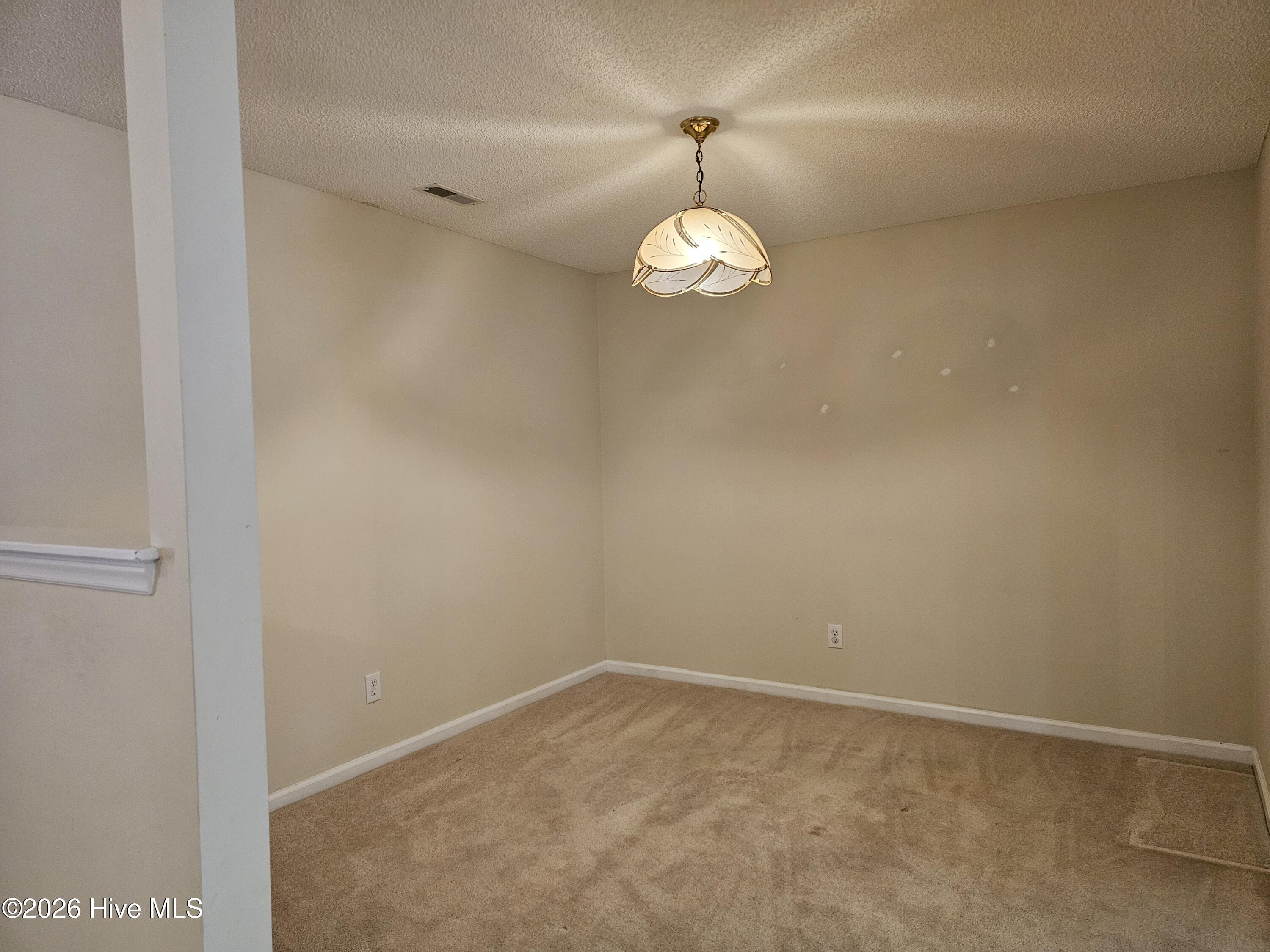 7316 Rabbit Hollow Drive Wilmington, NC 28411 - Photo 21 of 27 019