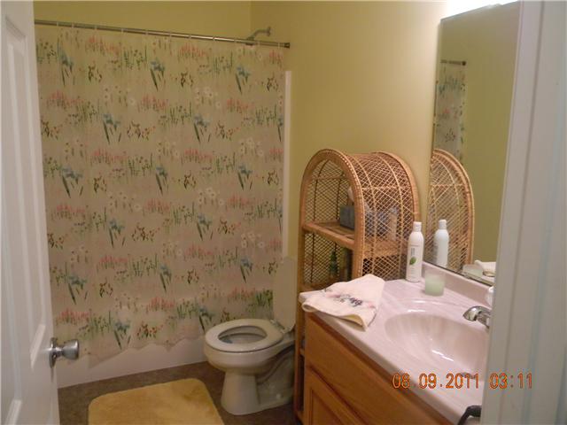 422 Bob Perry Road Bethpage, TN 37022 - Photo 16 of 20 Guest Bath