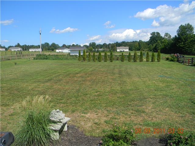 422 Bob Perry Road Bethpage, TN 37022 - Photo 18 of 20 View from Back Patio