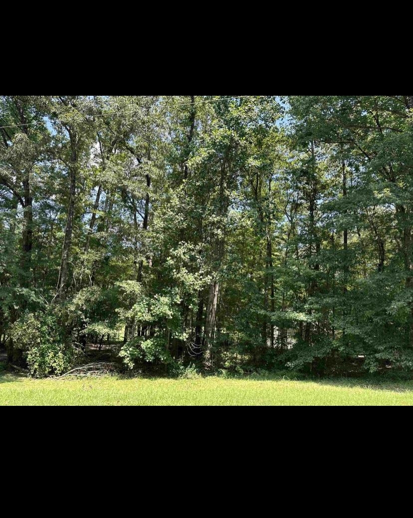 220 Wayne Elam Road Ramer, TN 38367 - Photo 27 of 29 Gallery Image 27
