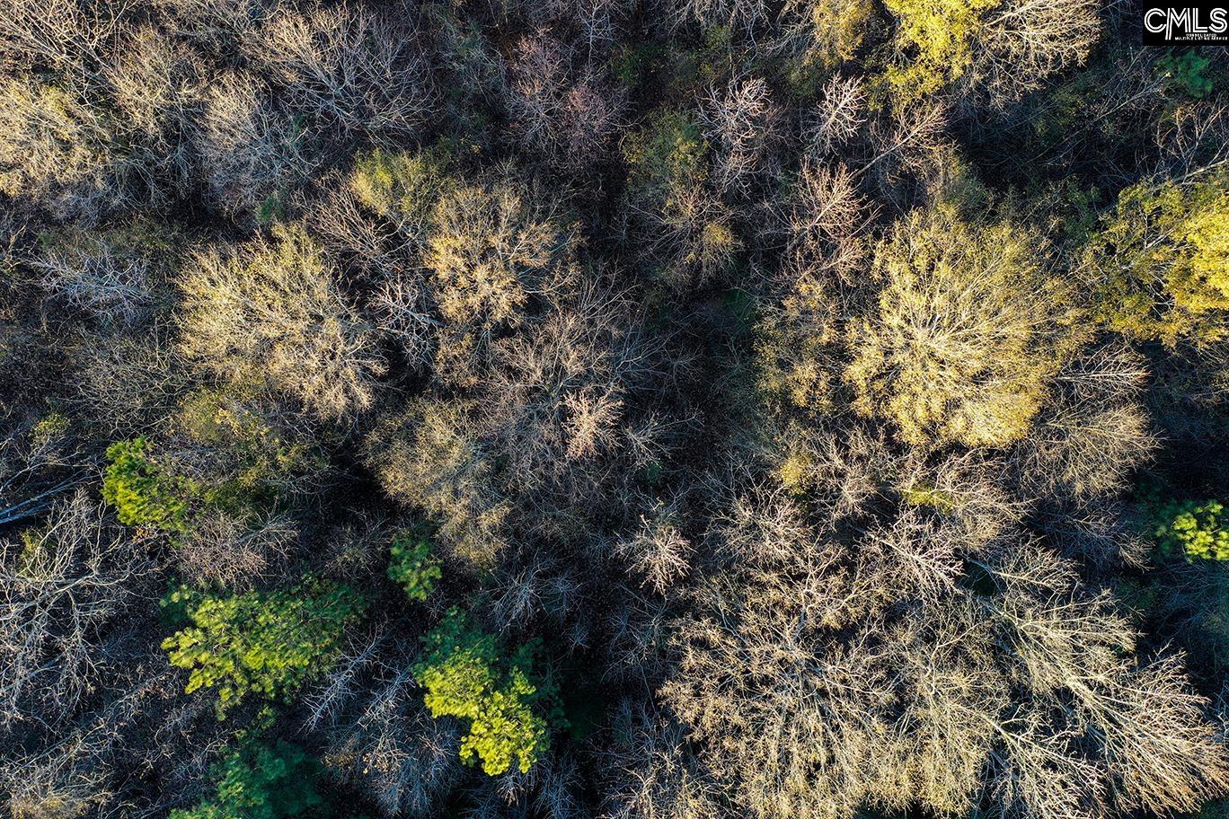 0 Rocky Creek Road Newberry, SC 29108 - Photo 6 of 25