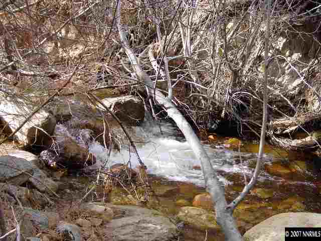 40 Will Sauer Road Carson City, NV 89704 - Photo 3 of 5 Photo 3