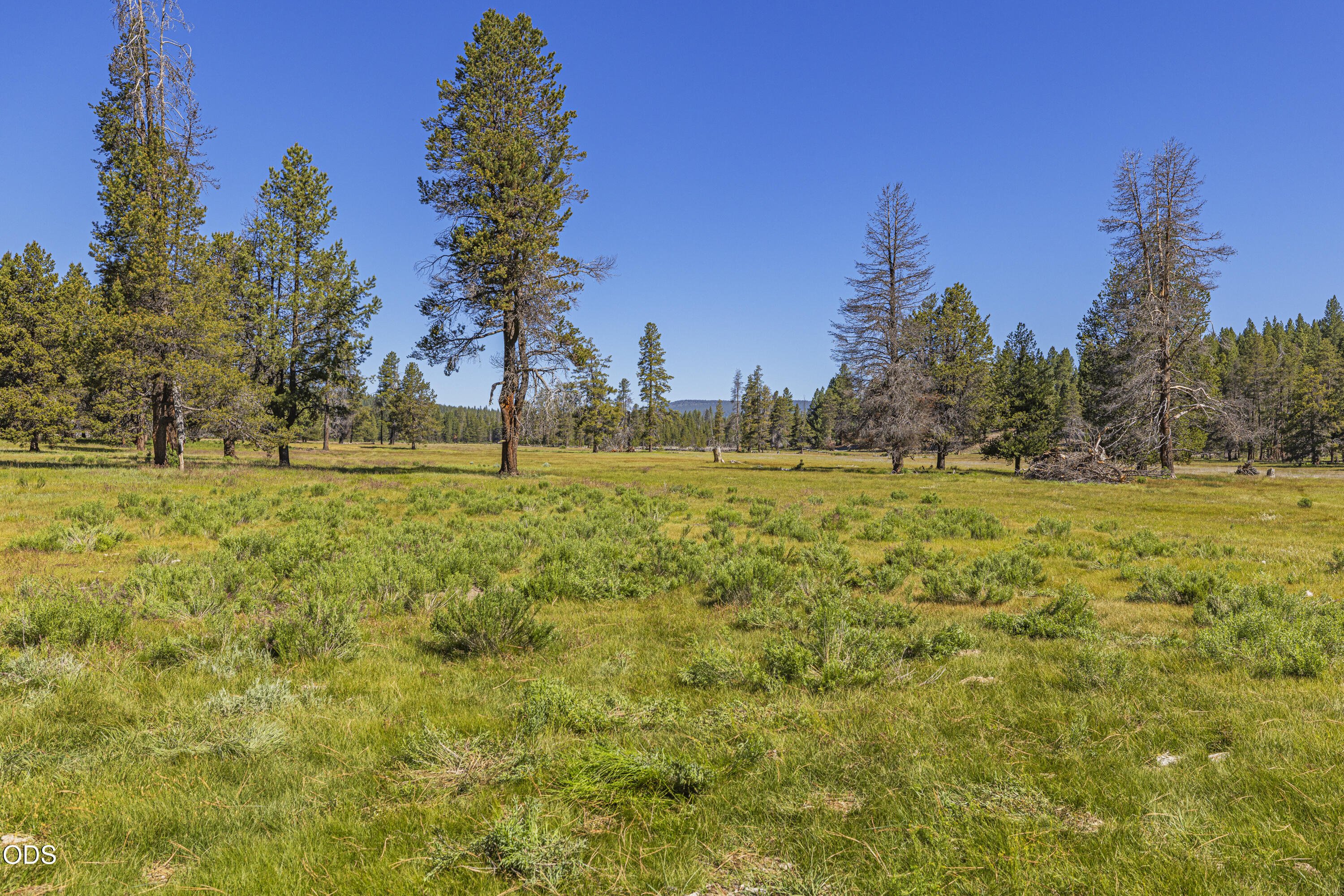 Williamson River Road, Unit 206226 Chiloquin, OR 97624 - Photo 3 of 50