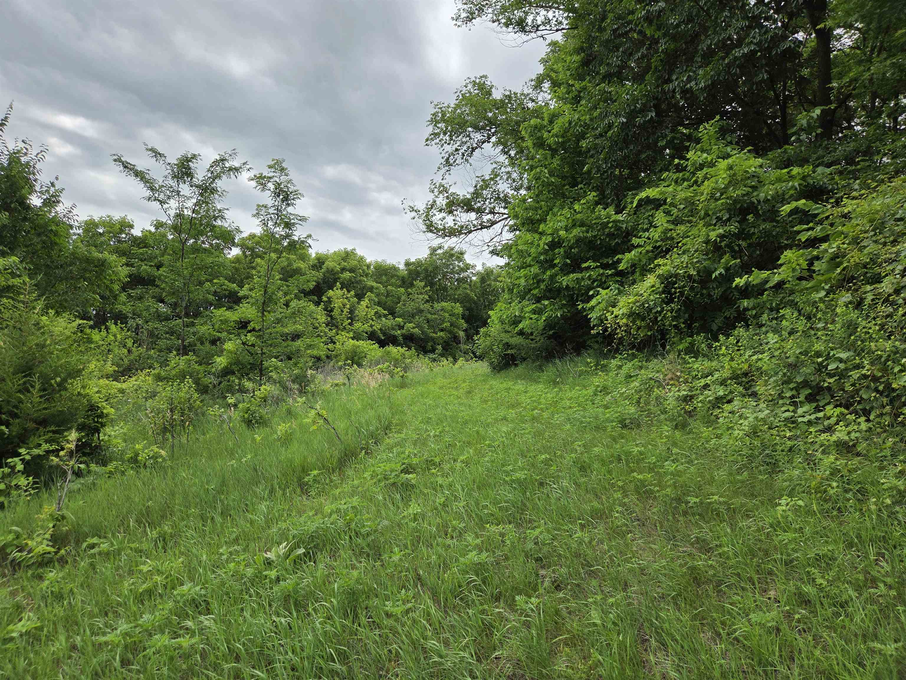 32747 State Highway Muscoda, WI 53573 - Photo 60 of 83