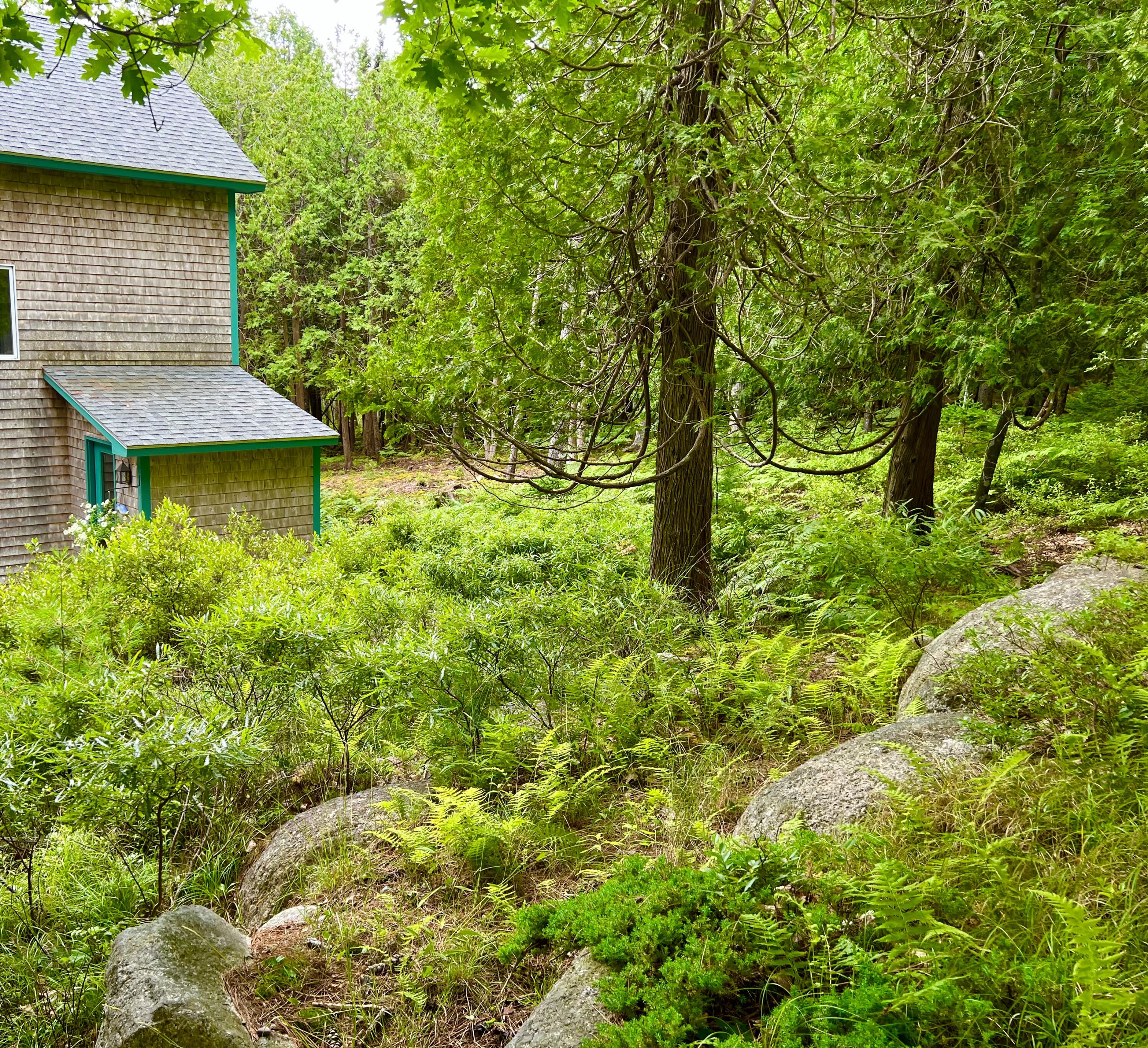 7 Cobbles End Mount Desert, ME 04660 - Photo 34 of 40 Land/Grounds