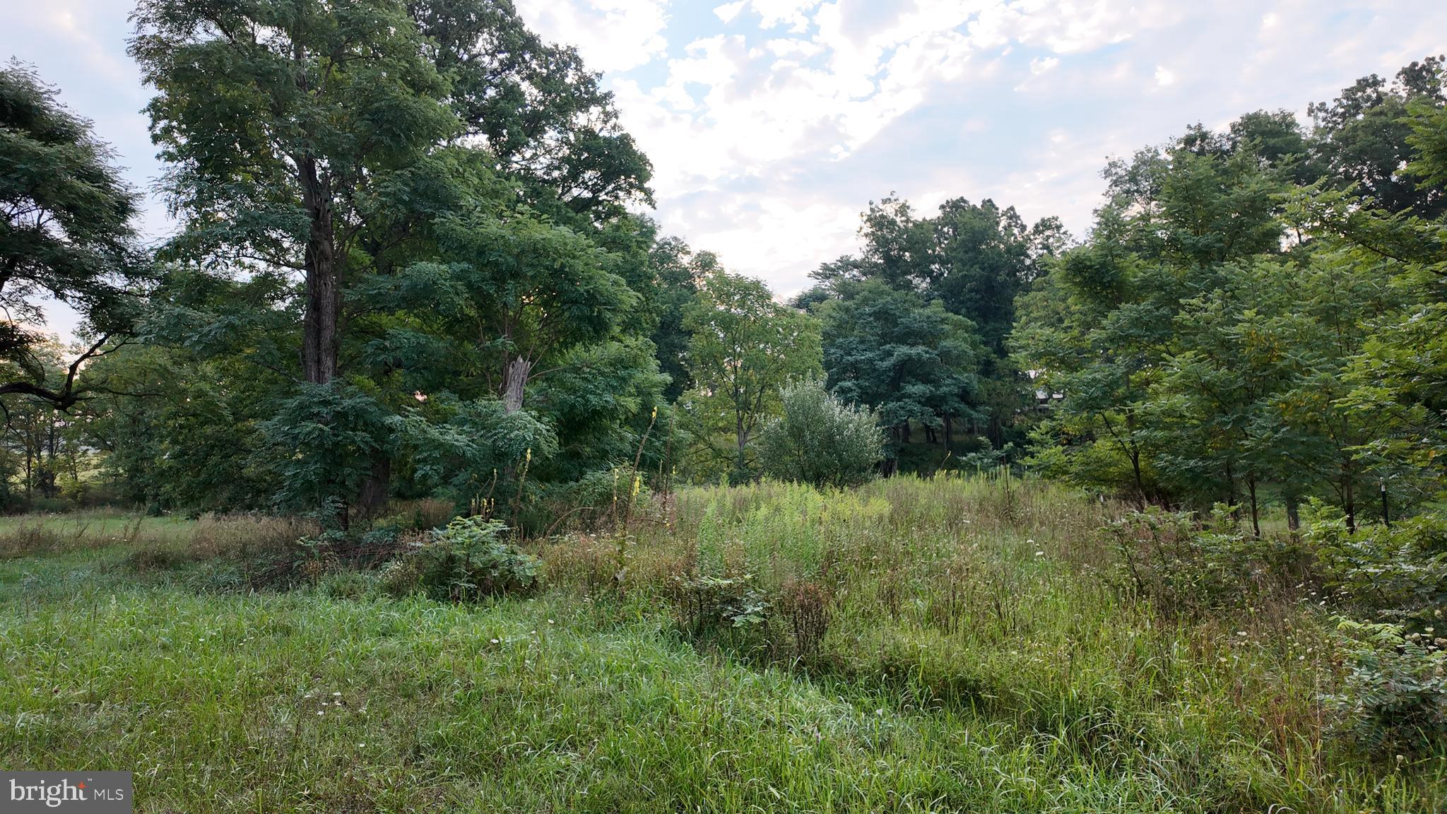 Dominion Road Winchester, VA 22603 - Photo 22 of 28 Gallery Image 22