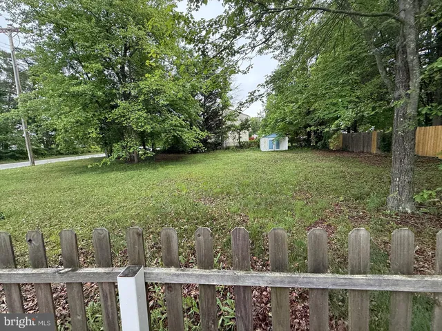 a view of a garden from a window