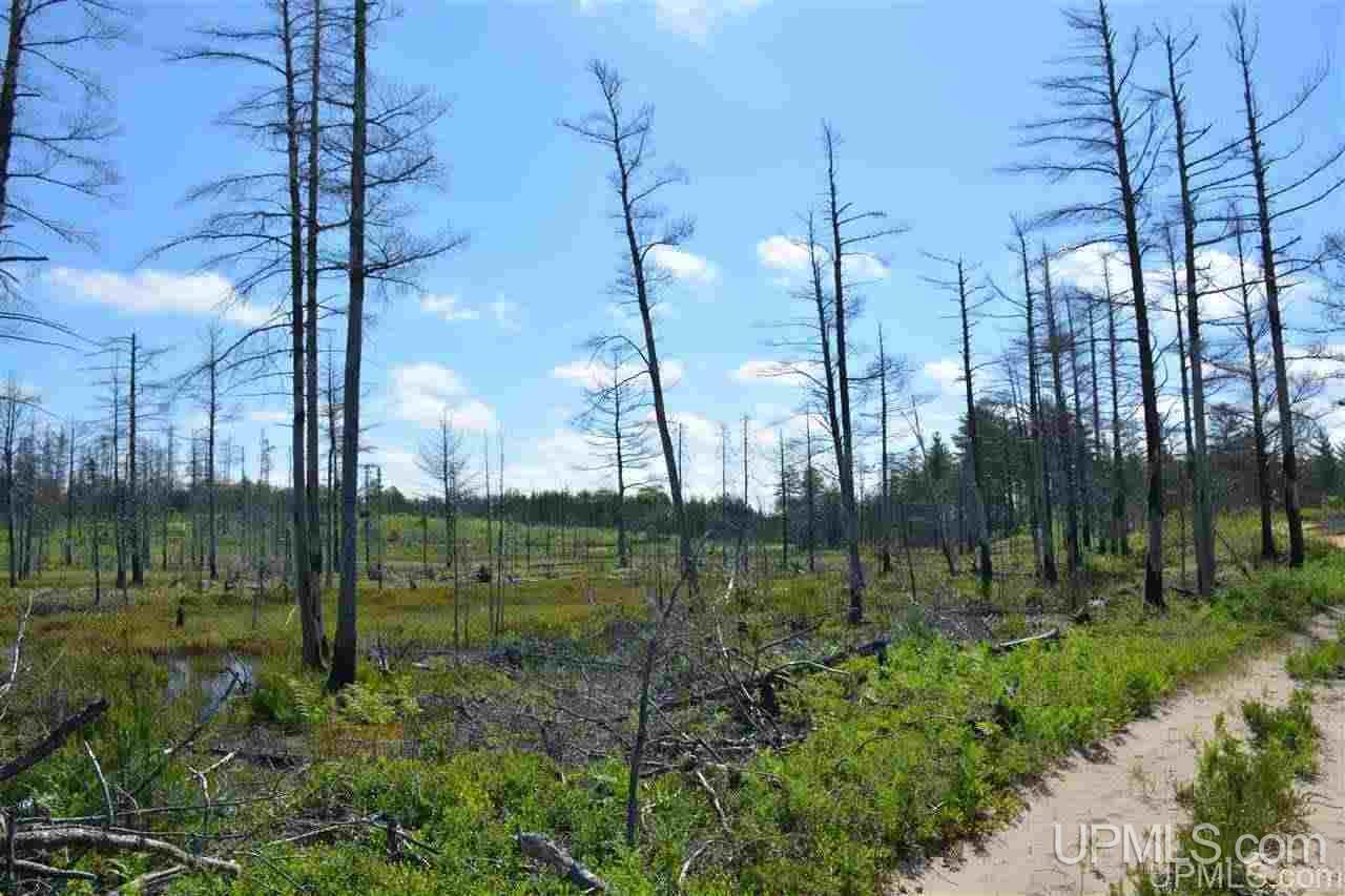 0 Off Co Road, Unit LITTLE PIKE LAKE Newberry, MI 49868 - Photo 4 of 11