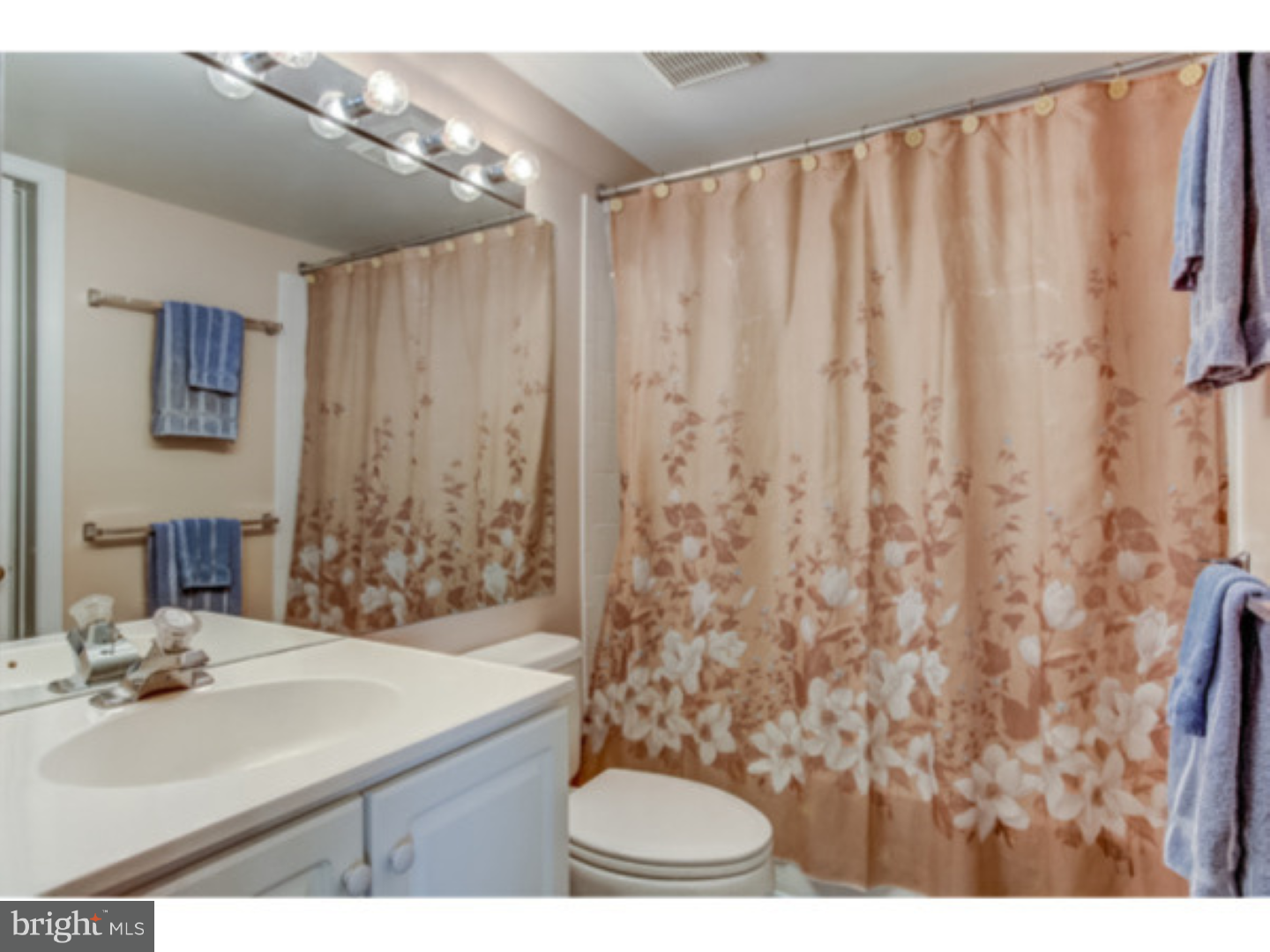 3812 Marsh Road Garnet Valley, PA 19060 - Photo 17 of 25 Bathroom
