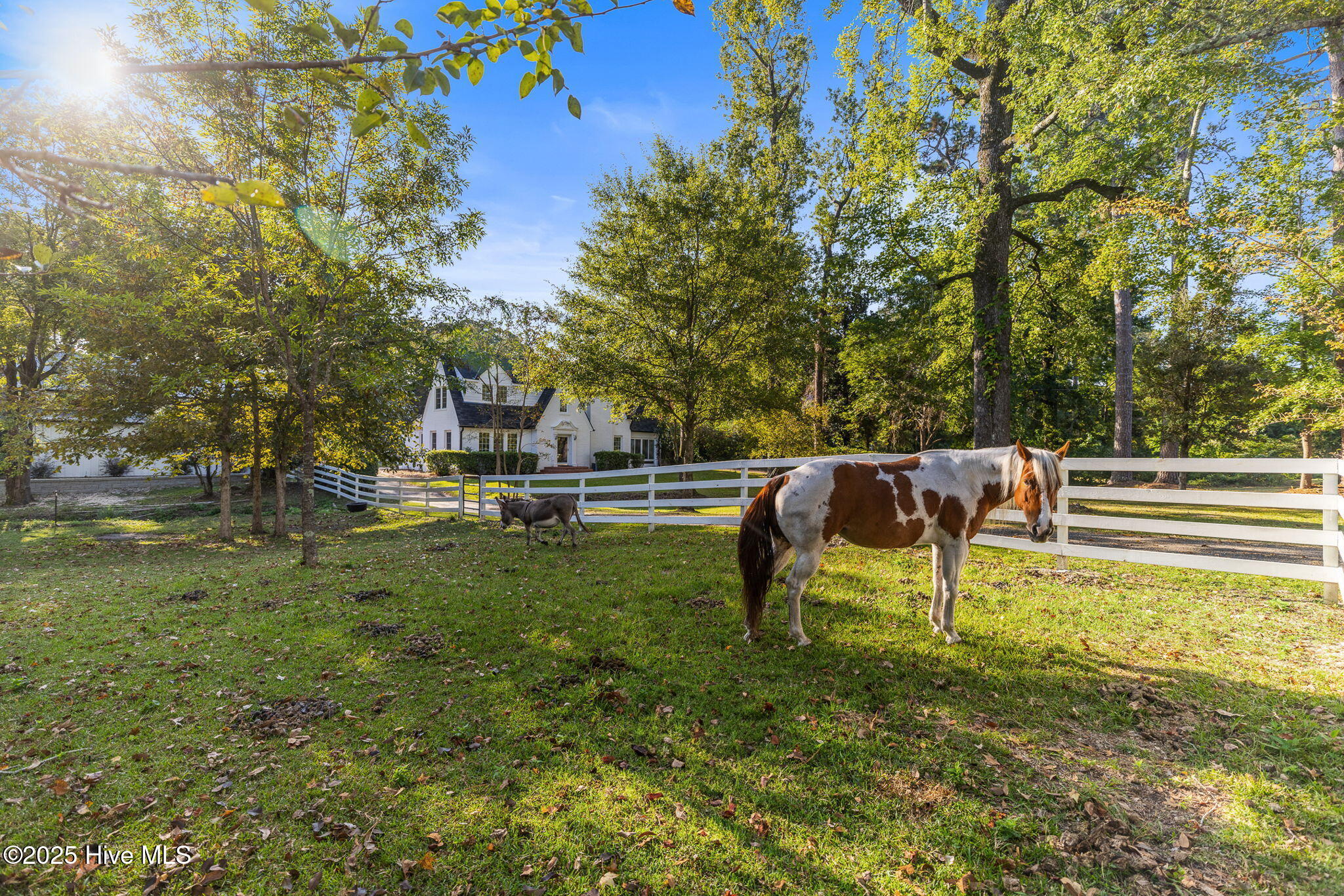 2110 Castle Hayne Road Wilmington, NC 28401 - Photo 9 of 66 10-web-or-mls-GI - 2110 Castle Hayne Rd